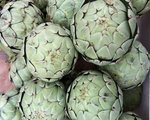 Artichokes