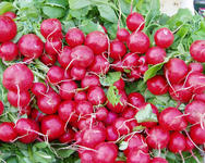 Bunched Radish