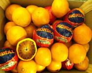 Blood oranges