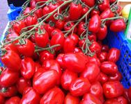 Cherry Vine Tomatoes