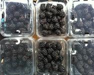 Blackberries