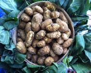 Jersey Royal New Potatoes