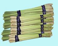 Lemon grass