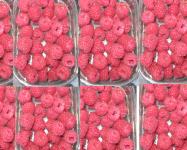Raspberries