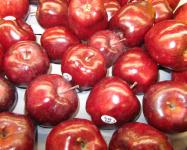USA Red Delicious
