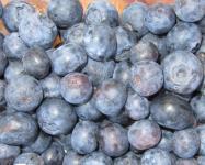 Blueberries