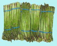 Asparagus