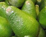 Avocado