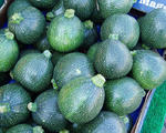 Round Courgette