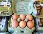 Free range eggs