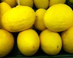 Honeydew Melon