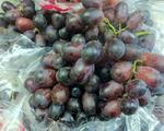 Black Seedless Grapes