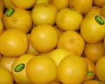 White grapefruit (large)