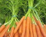 Bunched carrots